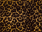 Animalier