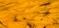EYWA