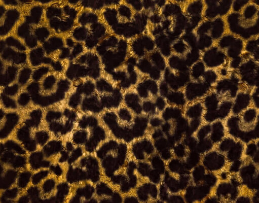 Animalier